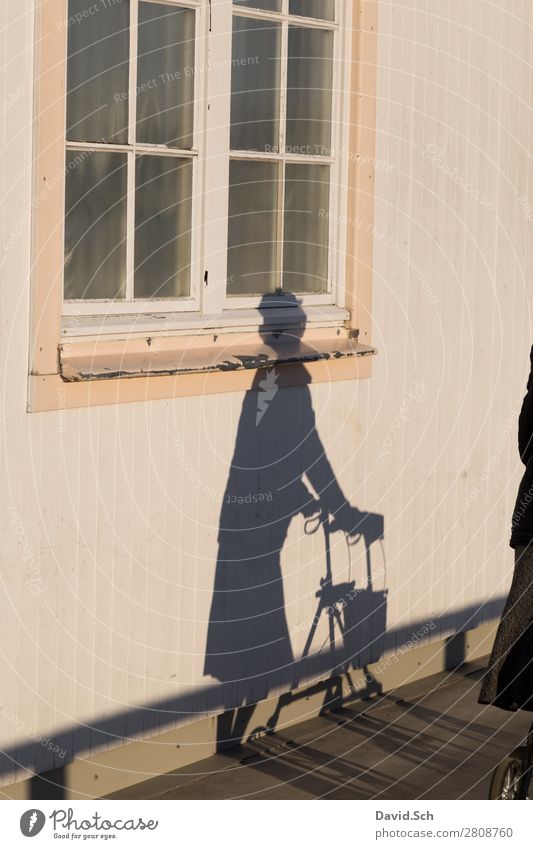 Schatten von einer Dame mit Rollator Mensch feminin Weiblicher Senior Frau 1 Fassade Fenster Fußgänger Bewegung laufen alt Krankheit Vertrauen Gehhilfe