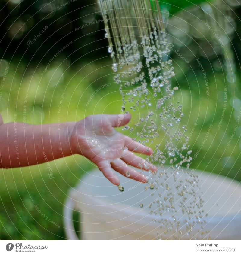 pura Körperpflege Mensch Kind Baby Kleinkind Kindheit Arme Hand Finger 1 1-3 Jahre Urelemente Wasser Sommer Schönes Wetter Gras berühren entdecken Spielen