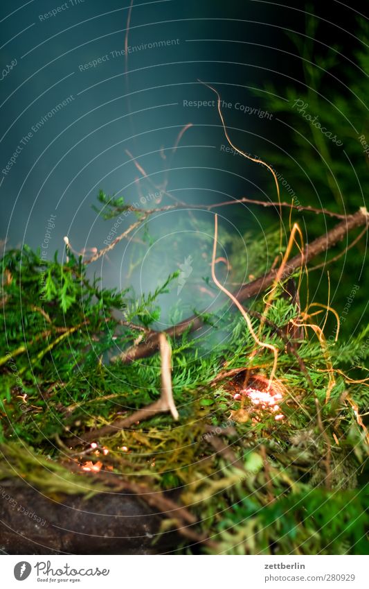 Feuer Garten Nachtleben Umwelt Natur Pflanze Sommer Klima Wärme Blatt Grünpflanze Park heiß gefährlich Vergänglichkeit Lebensbaum Ast Zweig brennen Funken Rauch