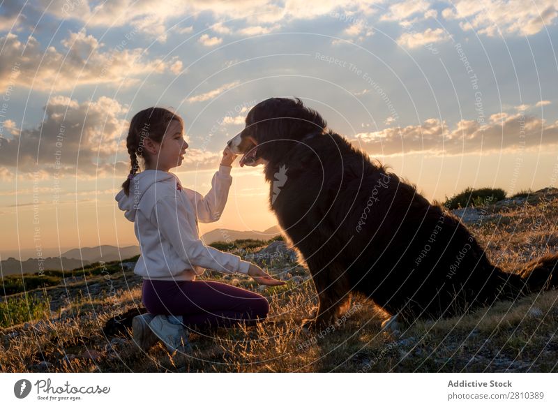 Schönes kleines Mädchen und ihr Hund spielen bei Sonnenuntergang zusammen. Glück groß grün Liebe Haustier Jugendliche Gras Zusammensein Kind Landschaft