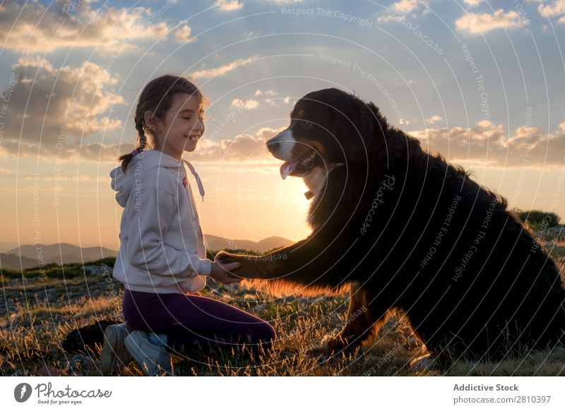 Schönes kleines Mädchen und ihr Hund spielen bei Sonnenuntergang zusammen. Glück groß grün Liebe Haustier Jugendliche Gras Zusammensein Kind Landschaft