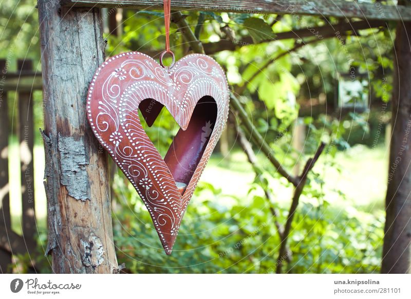 mit herz Häusliches Leben Garten Pflanze Sträucher Holz Metall Ornament Herz hängen Freundlichkeit natürlich schön grün rot Liebe Dekoration & Verzierung