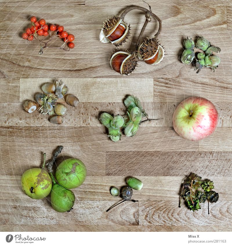 Herbstkollektion Lebensmittel Frucht Apfel Ernährung Blatt braun mehrfarbig Birne Holz Sammlung Eicheln Haselnuss Nuss Beeren Vogelbeeren Kastanie herbstlich
