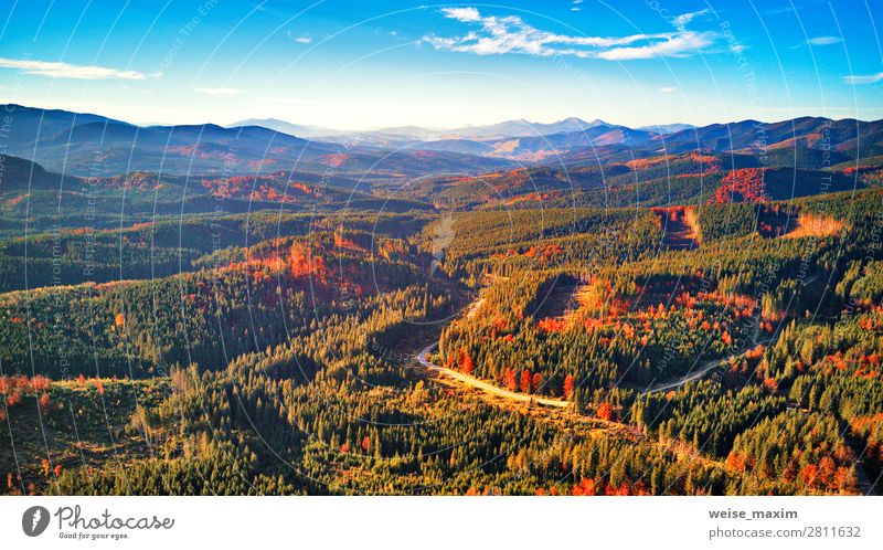 Straße im Herbst Saison Wald mit Wolken und blauem Himmel Ferien & Urlaub & Reisen Tourismus Ausflug Ferne Freiheit Expedition Sommer Berge u. Gebirge wandern