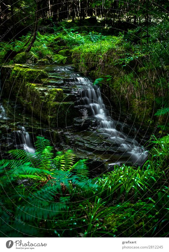 Bach mit Wasserfall in Wald nahe Ullapool in Schottland Bewegung Energie regenerativ fließen Fluss friedlich frisch Gesundheit Großbritannien Hintergrundbild