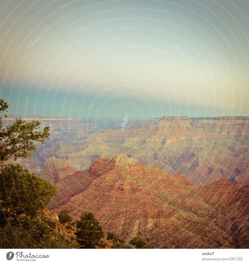 pastell-canyon Himmel Berge u. Gebirge Schlucht Wärme blau braun orange rot Grand Canyon Farbfoto Außenaufnahme Menschenleer Textfreiraum oben Dämmerung