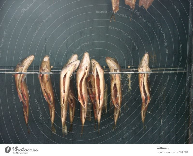 Räucherfisch Fisch Forelle Räucherforelle Ernährung Gastronomie Duft hängen lecker Appetit & Hunger aufgespiesst Räucherofen geräuchert aufgeschlitzt Räucherei