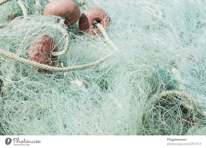 Nachhaltiger Fischfang Lebensmittel Meeresfrüchte Sushi Freizeit & Hobby Angeln Wellen Küste Seeufer Flussufer Nordsee Ostsee Moor Sumpf Teich Bach Schifffahrt