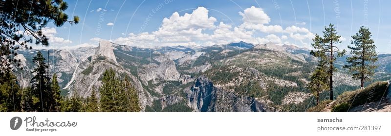 Yosemite Nationalpark Ferien & Urlaub & Reisen Tourismus Ausflug Abenteuer Ferne Freiheit Berge u. Gebirge wandern Natur Landschaft Pflanze Urelemente Luft
