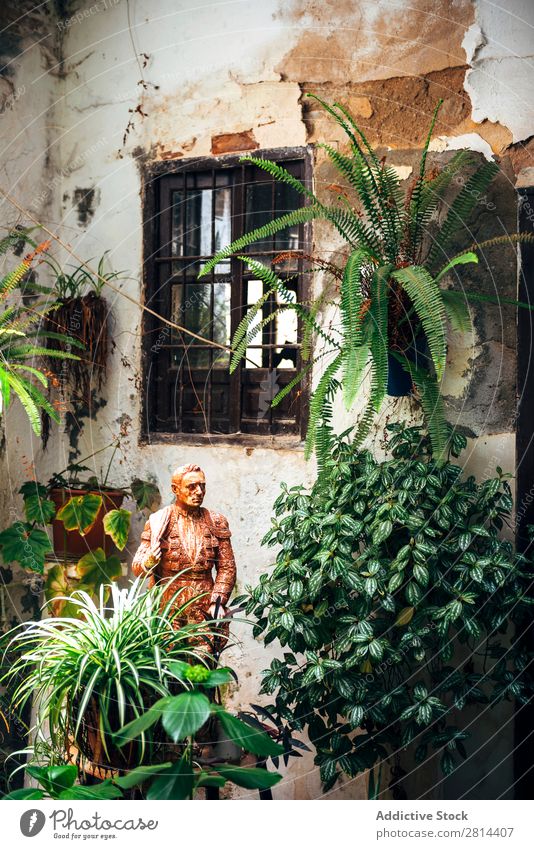 Typischer andalusischer Innenhof mit Brunnen und zahlreichen Pflanzen, Geranien und Nelken an den Wänden. Cordoba, Spanien heimwärts Florida Innenarchitektur