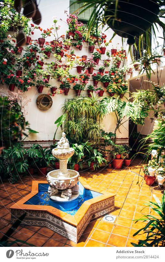 Typischer andalusischer Innenhof mit Brunnen und zahlreichen Pflanzen, Geranien und Nelken an den Wänden. Cordoba, Spanien heimwärts Florida Innenarchitektur