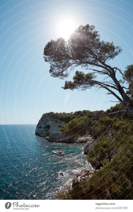 MENORCA Menorca Cala Galdana galdana Ferien & Urlaub & Reisen Reisefotografie Bucht Wasserfahrzeug Segelboot Segeln Erholung Sonne Gegenlicht Mittelmeer Baum