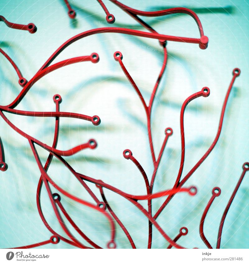 777 krumme Dinger Mauer Wand Dekoration & Verzierung Kitsch Krimskrams Ornament Linie Netzwerk dünn lang rot chaotisch Wachstum durcheinander Synapsen Geäst