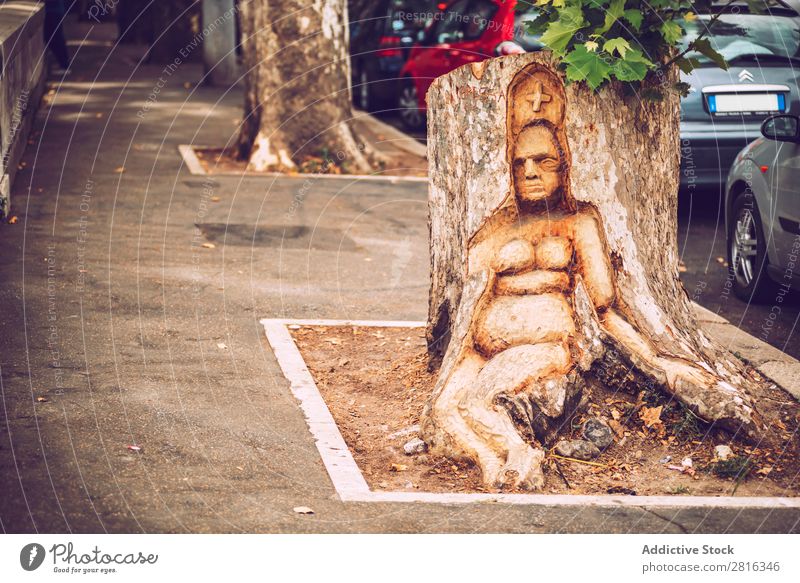 Detail von Rom Stadt, Italien. Frau Skulptur in einem Baum Straße Nahaufnahme alt altehrwürdig Detailaufnahme Europäer Außenaufnahme antik Europa Italienisch