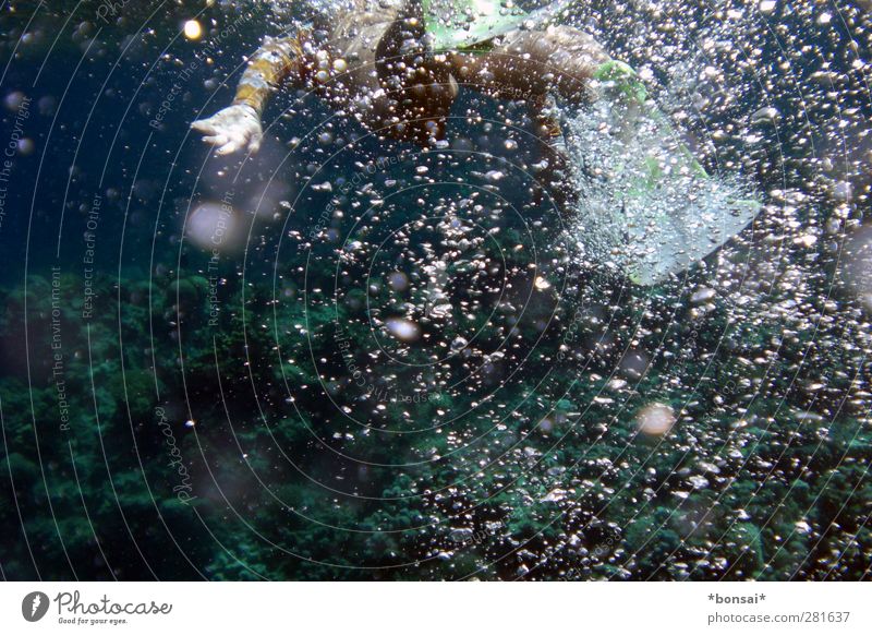 wasserratte Schwimmen & Baden Meer Wassersport tauchen feminin Frau Erwachsene 1 Mensch Rotes Meer atmen Bewegung dunkel Flüssigkeit nass entdecken Leichtigkeit