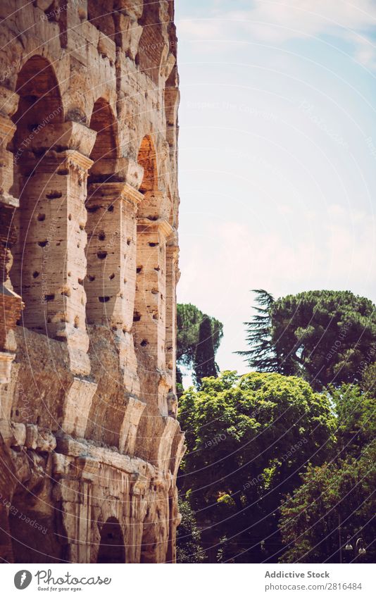 Kolosseum Nahaufnahme, Rom, Italien Kaiserreich Italienisch historisch Stein weiß Ferien & Urlaub & Reisen Sonnenaufgang Archäologie Europäer Wahrzeichen Kultur