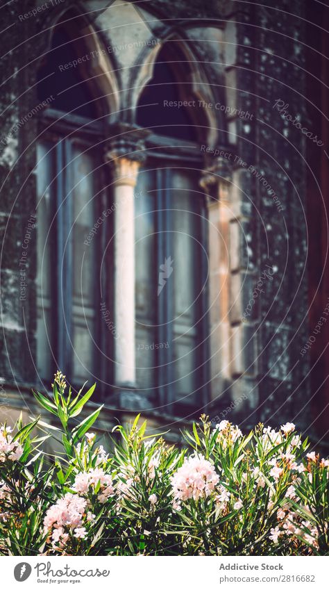 Detailansicht der typischen städtischen sizilianischen Dekoration in Sizilien, Italien. Textur-Hintergrund Detailaufnahme Architektur Europa Haus mediterran