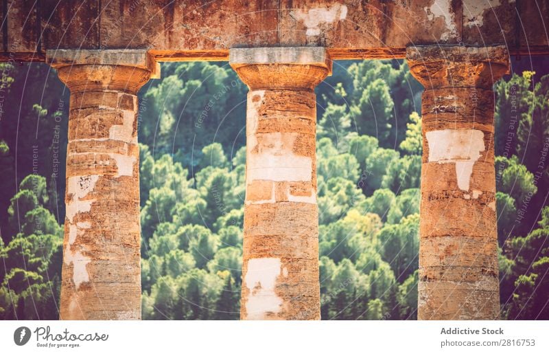 Der berühmte Tempel von Segesta in Sizilien, Italien. Agrigento Griechen hellenistisch Stein Ferien & Urlaub & Reisen Sizilianer Wahrzeichen Säule dorisch
