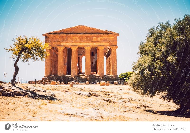 Blick auf das Tal der Tempel in Agrigento, Sizilien, Italien Griechen hellenistisch Stein Ferien & Urlaub & Reisen Sizilianer Wahrzeichen Säule dorisch