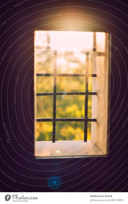 Ein Strahl Morgensonne in einem alten Fenster. Textur-Hintergrund Sonne Licht heimwärts durch Instagramm Lichtstrahl Sonnenlicht Blume glänzend Tag Blatt hell