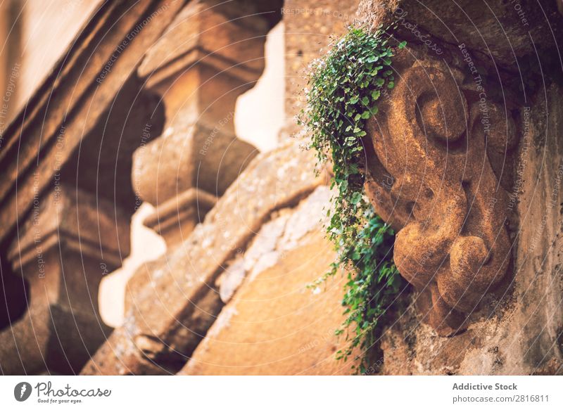 Detailansicht auf der Piazza Armerina, Sizilien, Italien Platz Ferien & Urlaub & Reisen Aussicht alt Kirche Architektur mediterran Insel Stadt Gebäude Großstadt