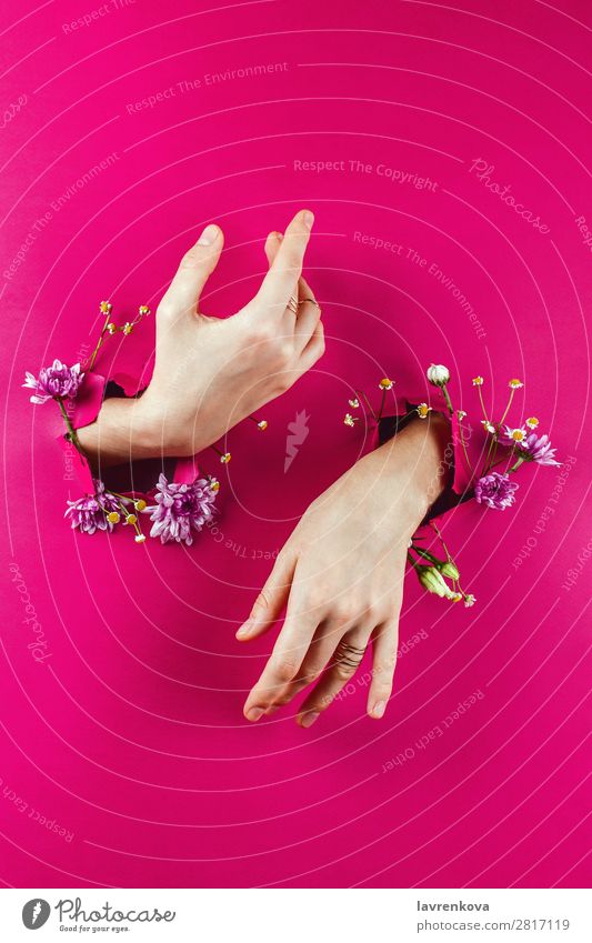 Frauenhände durch zerrissenes Papier voller Blumen aromatisch schön Beautyfotografie Blumenstrauß Armband Blütenknospen Entwurf Mode Glamour rosa Rose Roséwein