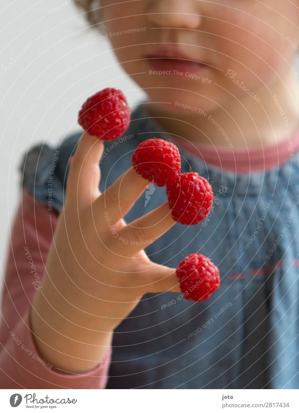 Kind zählt Himbeeren am Finger ab Lebensmittel Frucht Süßwaren Essen Bioprodukte Fingerfood Gesunde Ernährung Zufriedenheit Sommer Mädchen Kindheit Hand