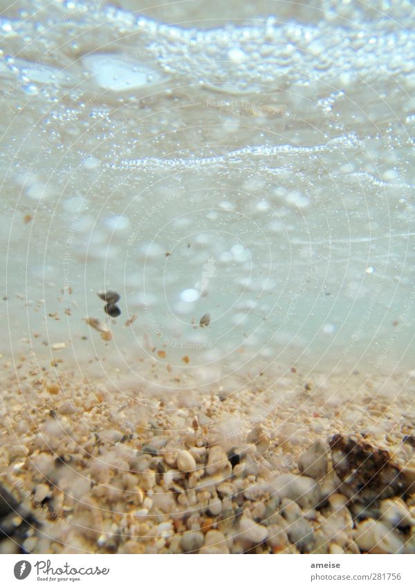 Ein Tag am Strand Meer Sand Wasser Sommer Sturm Schwimmen & Baden Hawaii Maui Bewegung Nahaufnahme Unterwasseraufnahme