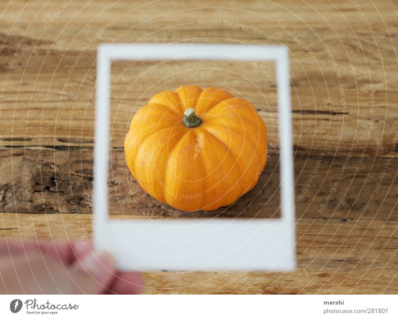 Kürbiszeit Lebensmittel Gemüse Ernährung Essen orange Halloween Polaroid Rahmen Kürbisgewächse Kürbissuppe Farbfoto Innenaufnahme Detailaufnahme