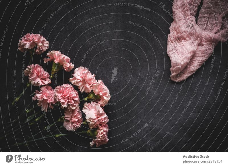 Blumen auf schwarzem Hintergrund. Flache Verlegung, Draufsicht Hintergrundbild Liebe Nelken Konsistenz Blütenblatt Geschenk Valentinsgruß natürlich geblümt