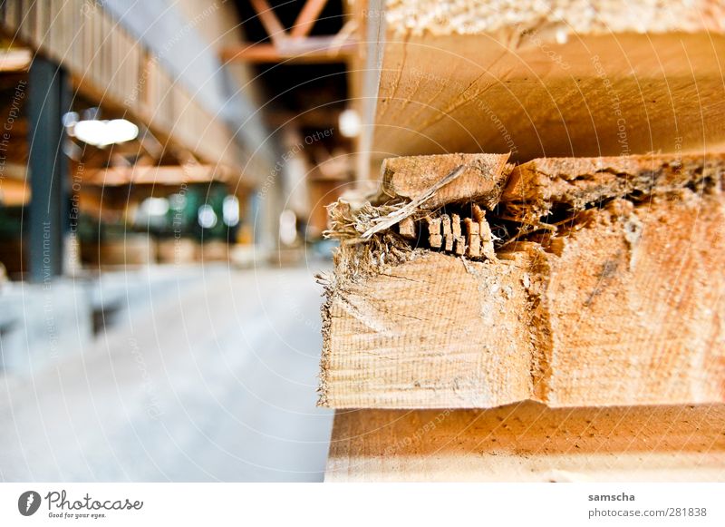 Sägerei Handwerker Landwirtschaft Forstwirtschaft Baustelle Holz Arbeit & Erwerbstätigkeit bauen natürlich Holzbrett Tischler Schreinerei Sägewerk schreinern