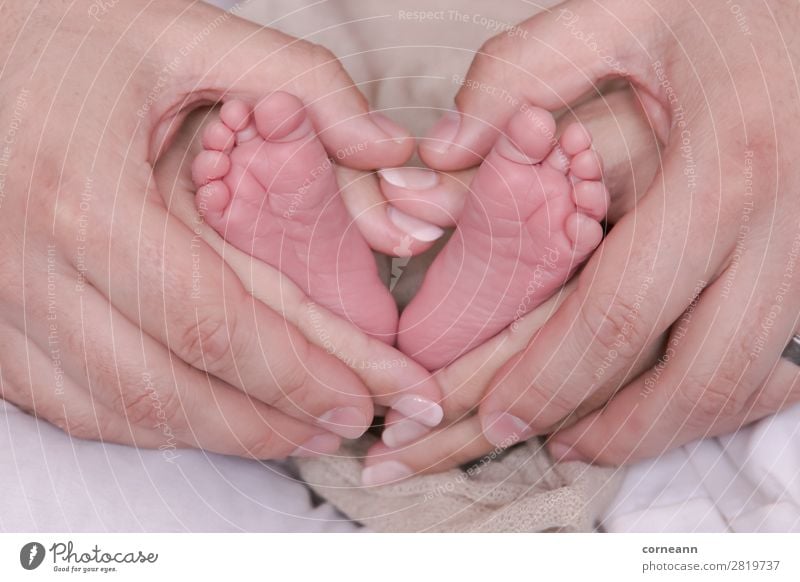 Mutter und Vater halten Neugeborene Füße in Herzform. Gesundheitswesen Kindererziehung Mensch Baby Eltern Erwachsene Kindheit Hand Fuß 0-12 Monate 18-30 Jahre