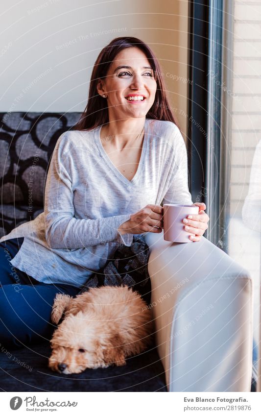Porträt von Cute toy poodle mit seinem Besitzer zu Hause Kaffee Lifestyle Freude Glück schön Freizeit & Hobby Freiheit Sofa Mensch feminin Junge Frau