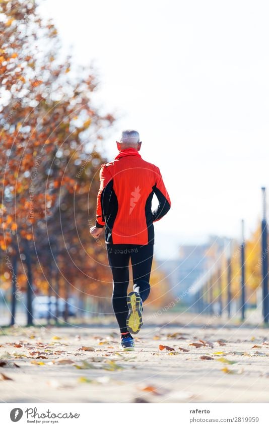 Rückansicht eines älteren Mannes in Sportbekleidung, der im Park joggt. Lifestyle Joggen Mensch maskulin Erwachsene Männlicher Senior 1 60 und älter Natur