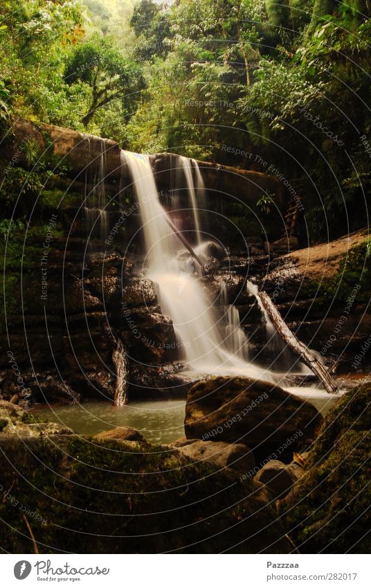 Kolumbien. Läuft. Wassersport wandern Umwelt Natur Landschaft Pflanze Wildpflanze exotisch Park Urwald Felsen Bach Wasserfall Flüssigkeit nass natürlich wild