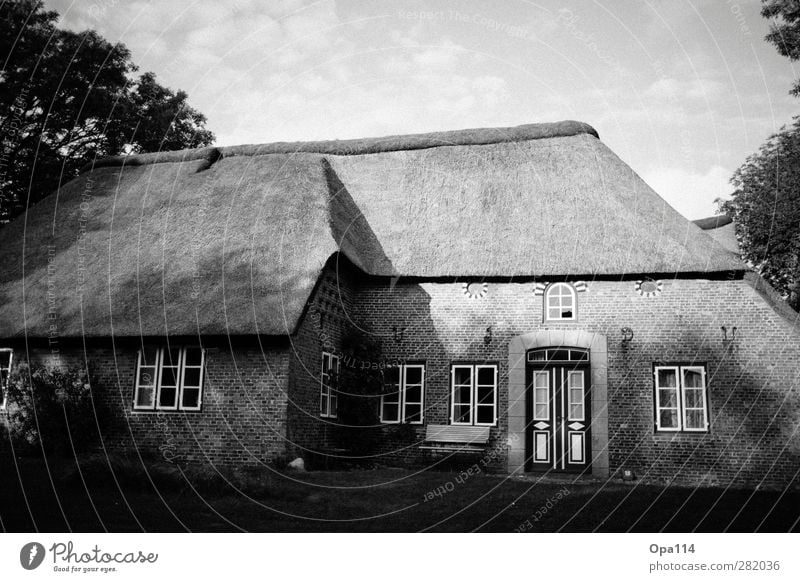 Haus Dorf Kleinstadt Stadtrand Einfamilienhaus Traumhaus Bauwerk Gebäude Architektur Mauer Wand Fassade Garten Fenster Tür Dach warten schwarz weiß