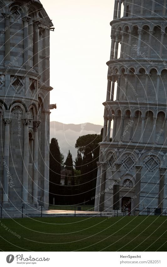 Torre pendente Pisa Stadt Kirche Dom Turm Bauwerk Gebäude Architektur Sehenswürdigkeit Wahrzeichen Campanile grau Morgendämmerung Detailaufnahme Bildausschnitt