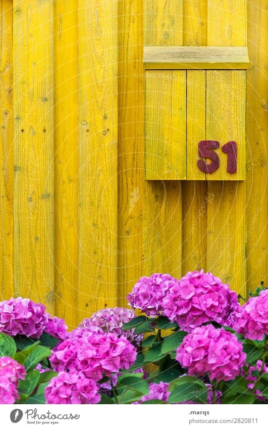 51 Häusliches Leben Blume Holzwand Briefkasten Post Ziffern & Zahlen gelb violett Farbe ökologisch Farbfoto Außenaufnahme Strukturen & Formen Menschenleer