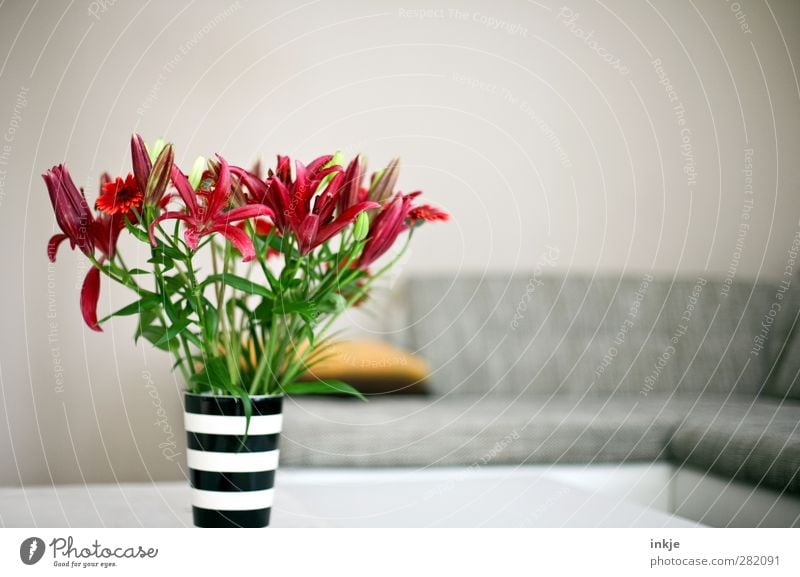 Wohnzimmer [aufgeräumt] Lifestyle Stil Häusliches Leben Wohnung einrichten Innenarchitektur Dekoration & Verzierung Sofa Raum Blume Blumenstrauß Lilien