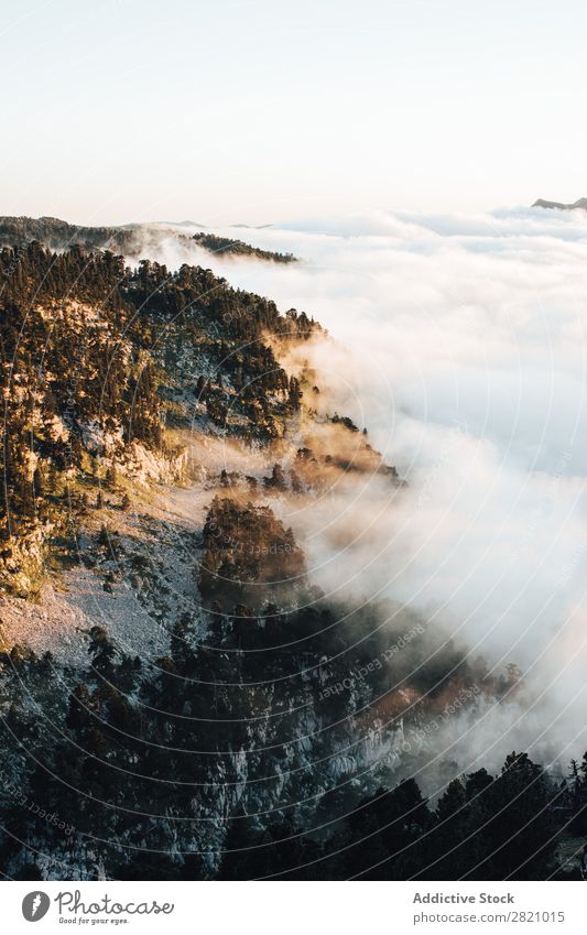 Nebel kommt über Felsen Landschaft Wolken Natur Mittelgebirge Wald Beautyfotografie Reichweite Berge u. Gebirge Abenteuer Aussicht Ferien & Urlaub & Reisen