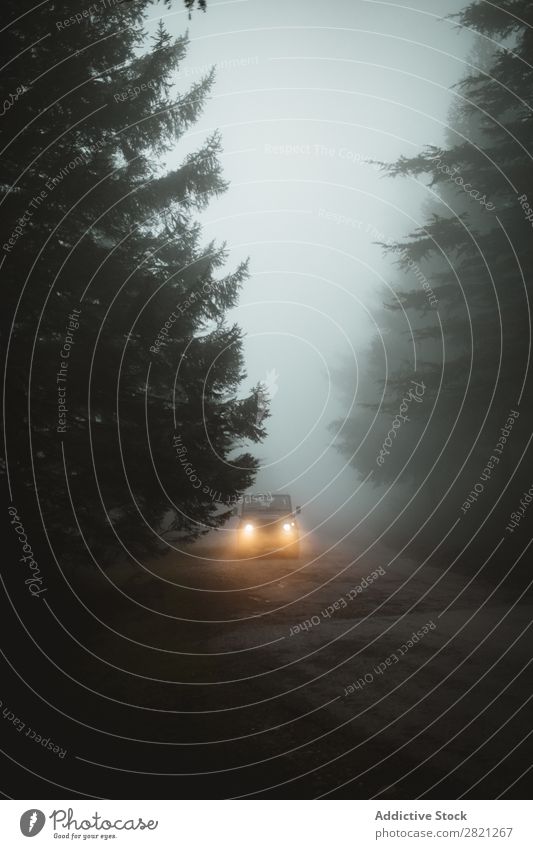 Auto auf nebliger Straße PKW Nebel Wetter Fahrzeug Ferien & Urlaub & Reisen Risiko dunkel Verkehr Asphalt Laufwerk nass Jahreszeiten Scheinwerfer Richtung