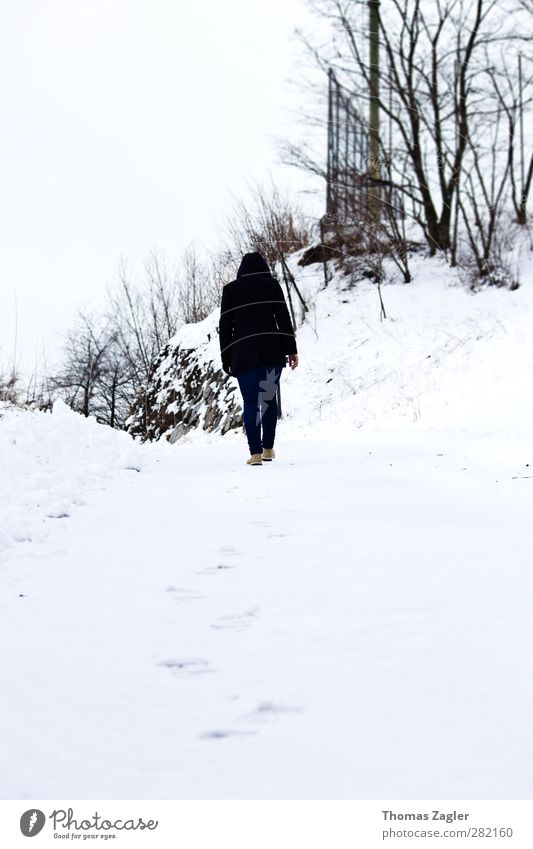 Auf dem Weg Stil Winter Schnee wandern Feierabend Mensch feminin Junge Frau Jugendliche Erwachsene Körper 18-30 Jahre Landschaft schlechtes Wetter Eis Frost