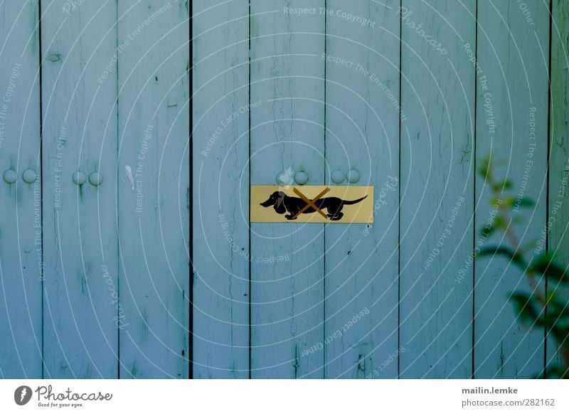 Dackel Schilder & Markierungen Holz Metall blau gelb Verbote Farbfoto Außenaufnahme Menschenleer Zentralperspektive