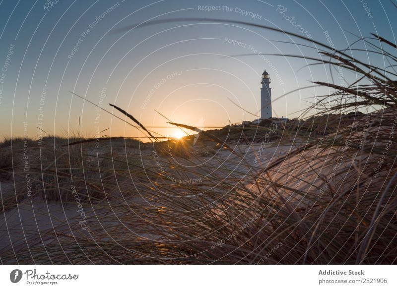 Leuchtfeuer bei Sonnenuntergang Leuchtturm Meer Wahrzeichen Licht Navigation Landschaft Turm nautisch Küste Gras regenarm Schwebebalken Wolken Strand