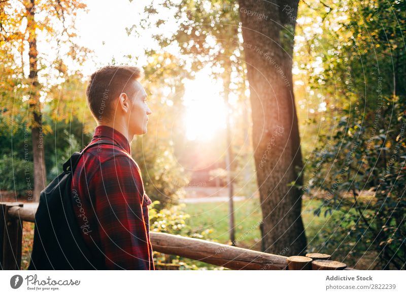 Junger Mann steht auf der Brücke Park Fürsorge besinnlich Gang Natur Mensch Lifestyle Gras Freizeit & Hobby lässig Jugendliche Außenaufnahme Tag sitzen Erholung