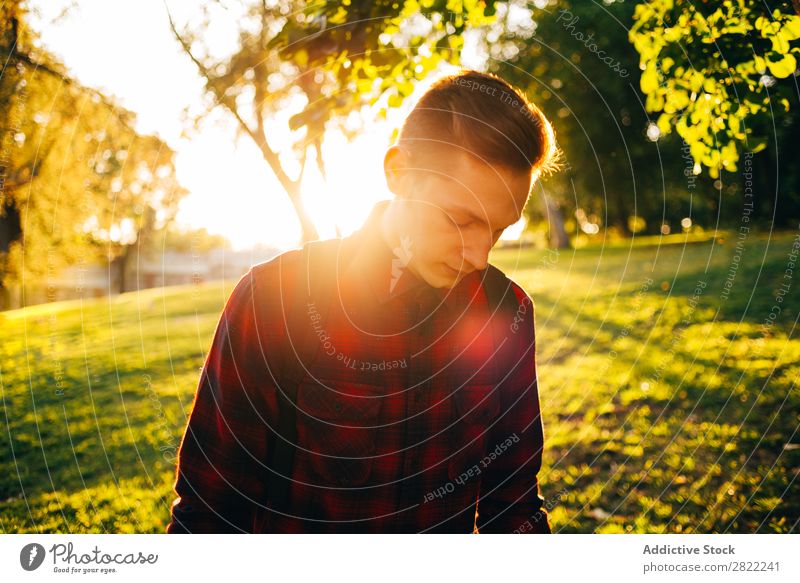 Junger Mann im sonnigen Park Jugendliche Rasen Gras Sommer Glück Lifestyle grün Natur Freizeit & Hobby heiter Baum Sonnenstrahlen Lächeln Freude Mensch hell