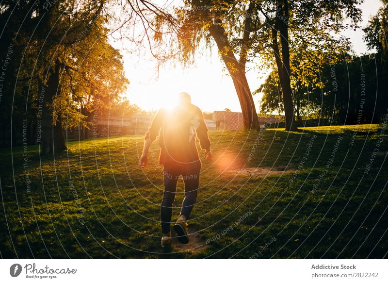 Junger Mann im sonnigen Park Jugendliche Rasen Gras Sommer Glück Lifestyle grün Natur Freizeit & Hobby heiter Baum Sonnenstrahlen Lächeln Freude Mensch hell