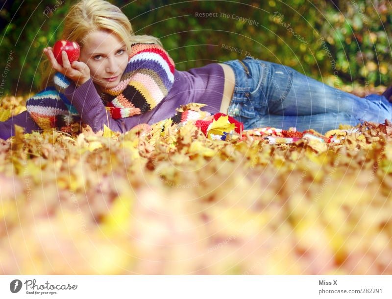 Herbst II Apfel Mensch feminin Junge Frau Jugendliche Erwachsene 1 18-30 Jahre Blatt Wiese Wald Jeanshose Schal blond liegen schön mehrfarbig herbstlich
