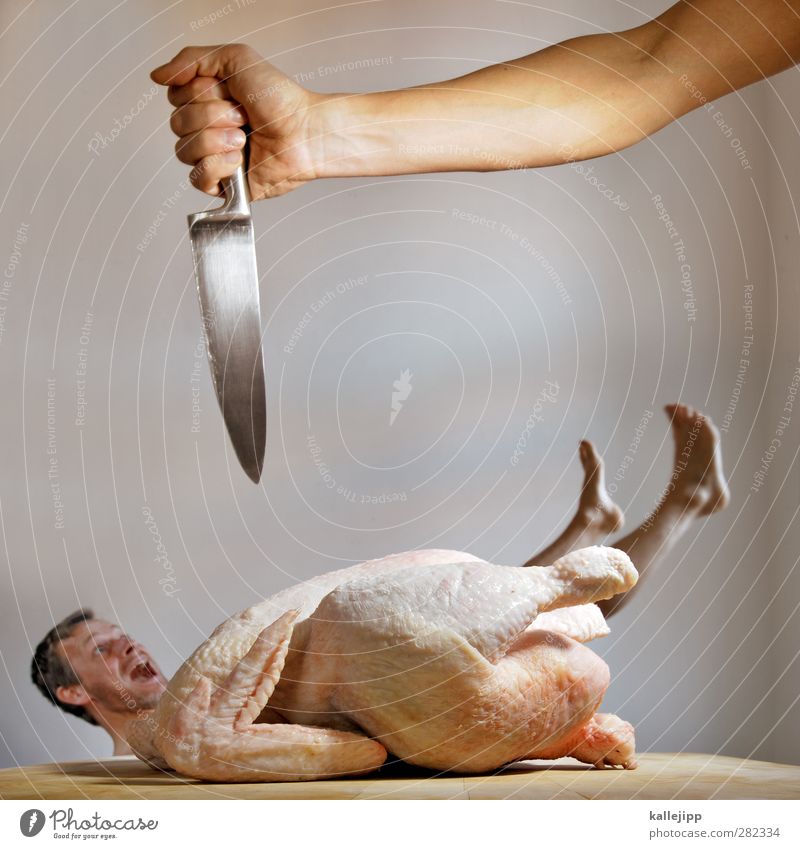 to be a suppenhuhn Lebensmittel Fleisch Mensch maskulin Körper Haut 1 Tier Nutztier Totes Tier Vogel Blick Messer Klinge scharf töten Tod Mord Karnevalskostüm