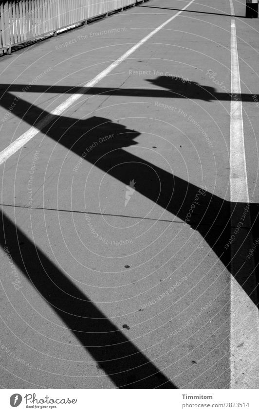 Freie Bahn Stadt Verkehr Fahrradfahren Fußgänger Straße Schilder & Markierungen Linie grau schwarz weiß Gefühle Brückengeländer Metall Schatten Bürgersteig